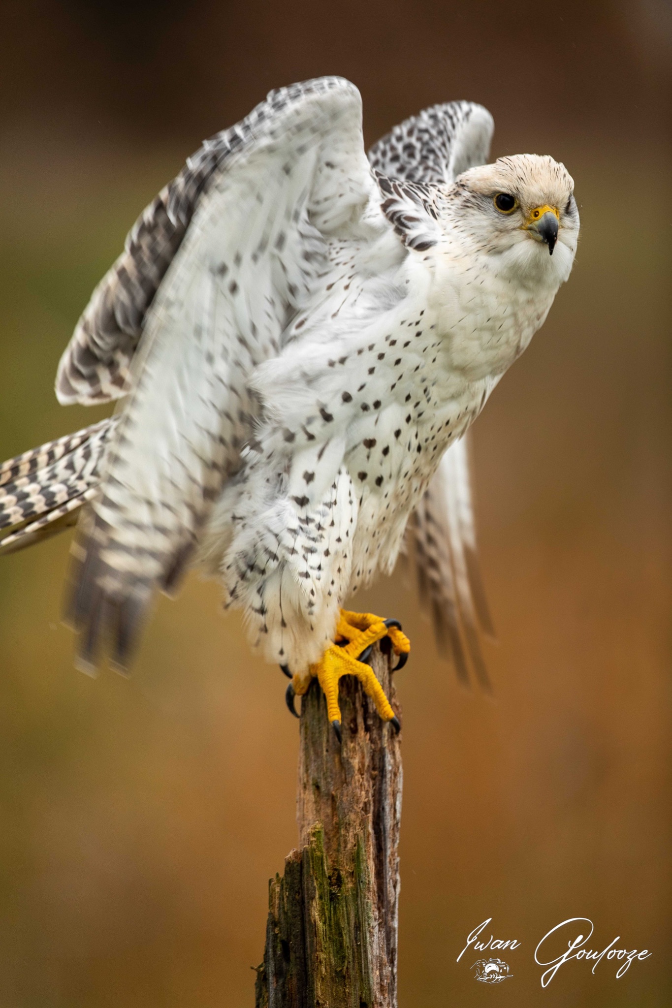  5D40475 28 november 2021 1223 50